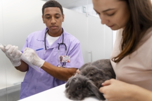 Saúde felina sem traumas: por que o atendimento em casa é a melhor alternativa para gatos sensíveis
