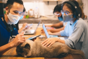 Escritório em casa, trabalhar em casa e brincar com o gato, usar máscara facial enquanto trabalha para manter o distanciamento social durante o covid-19, trabalho freelancer online, conceito de estilo de vida.