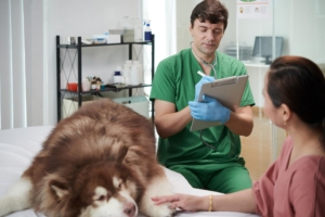 Medicamento Veterinário